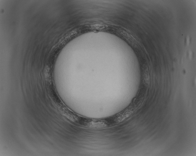 X0000081380270200702020238