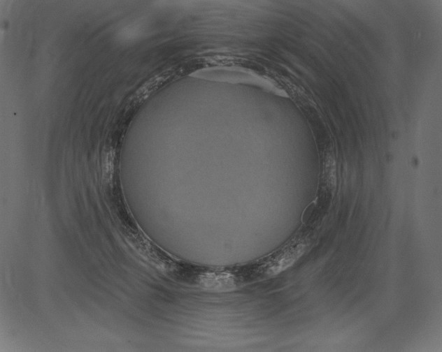 X0000081380271200702020238