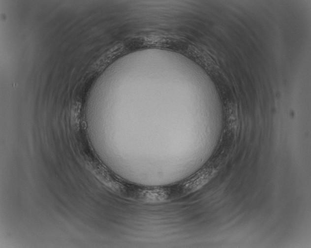X0000081380275200702020238
