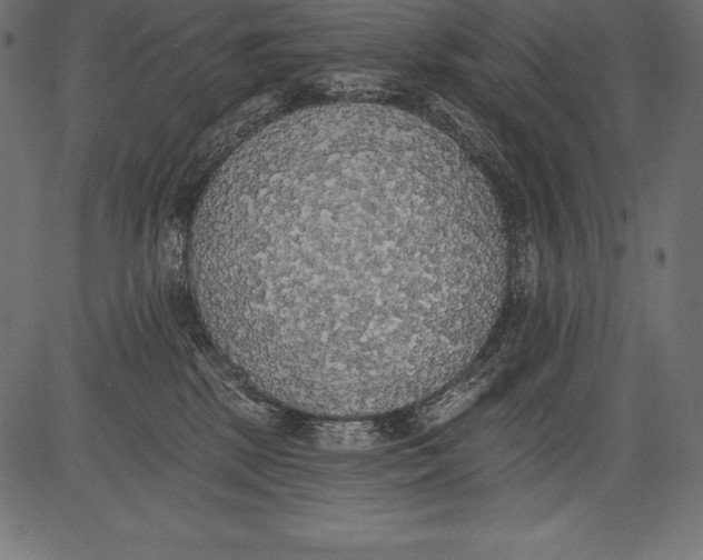 X0000081380281200702020238