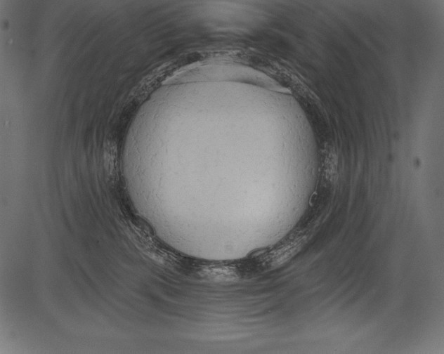 X0000081380283200702020238