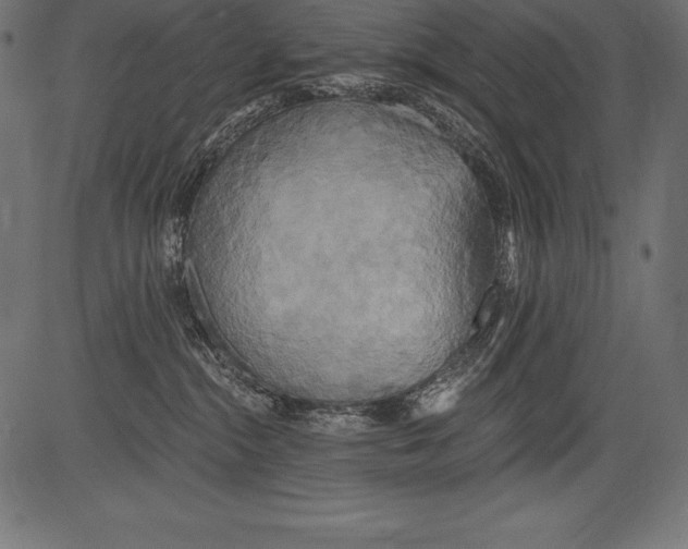 X0000081380284200702020238