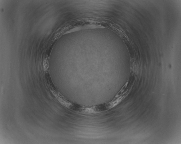 X0000081380285200702020238