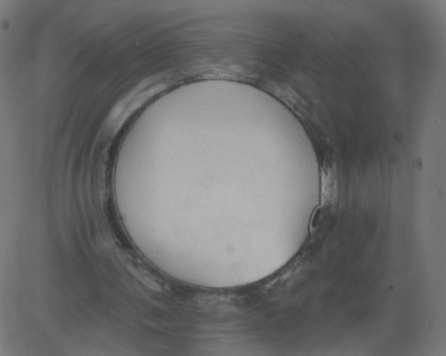 X0000081380291200702020237