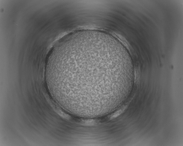 X0000081380301200702020237