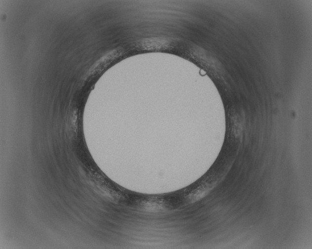 X0000081380308200702020237
