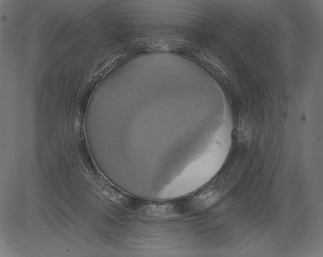 X0000081380314200702020237
