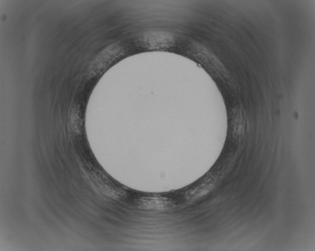 X0000081380316200702020237