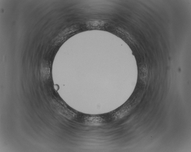 X0000081380324200702020236