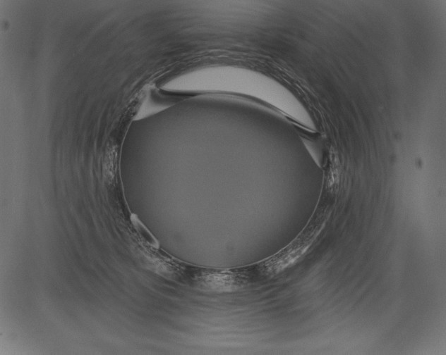 X0000081380325200702020236