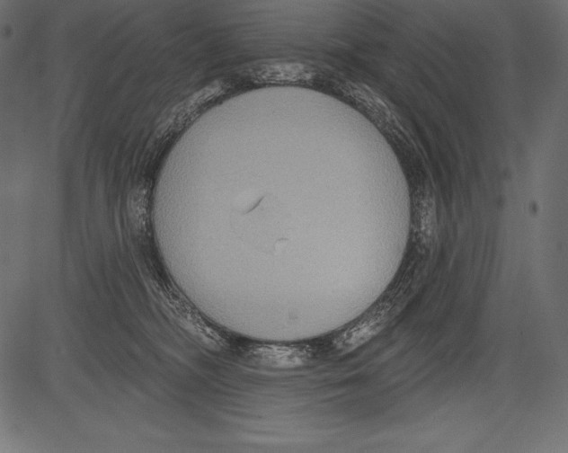 X0000081380326200702020236