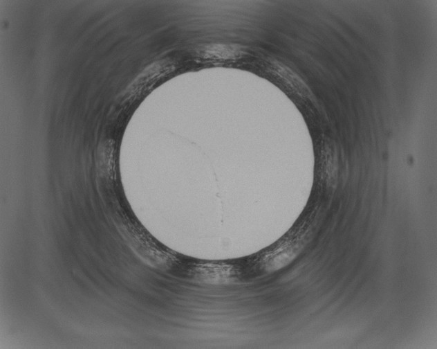 X0000081380328200702020236