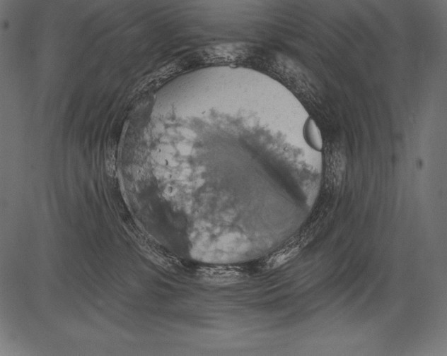 X0000081380331200702020236