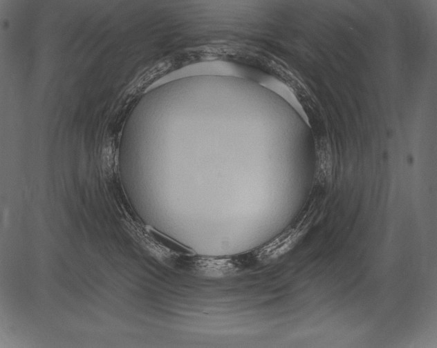 X0000081380333200702020236