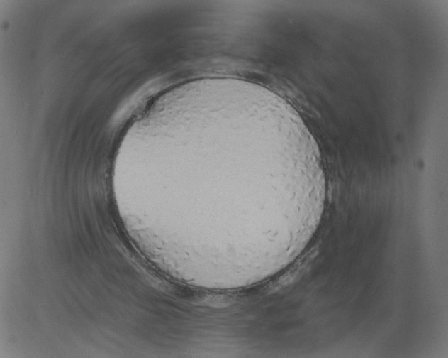 X0000081380341200702020236