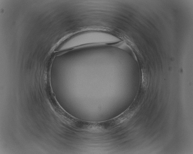 X0000081380348200702020236