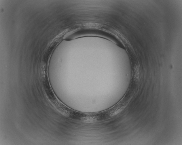 X0000081380356200702020236