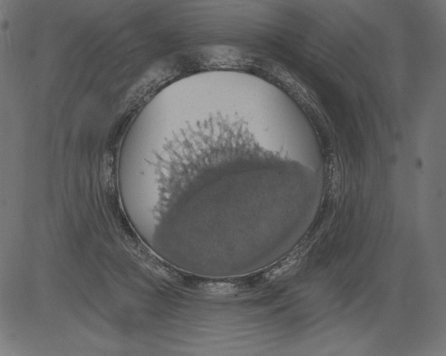 X0000081380361200702020236