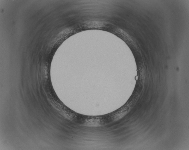 X0000081380362200702020236