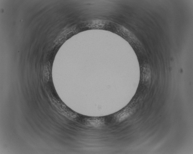 X0000081380370200702020236
