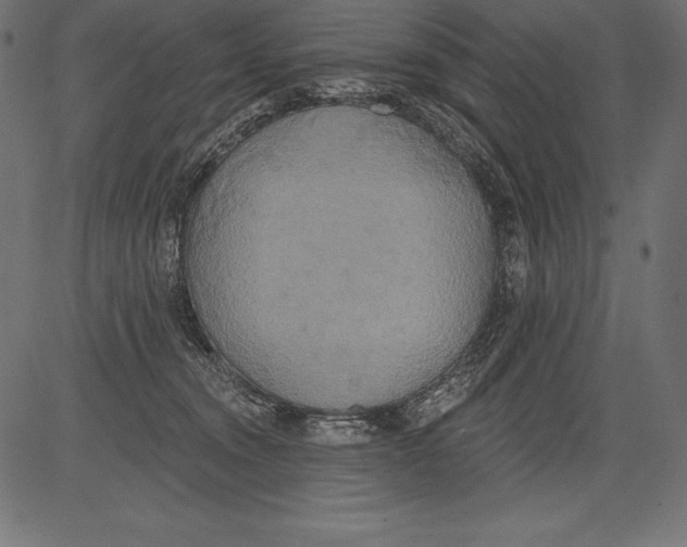 X0000081380372200702020236