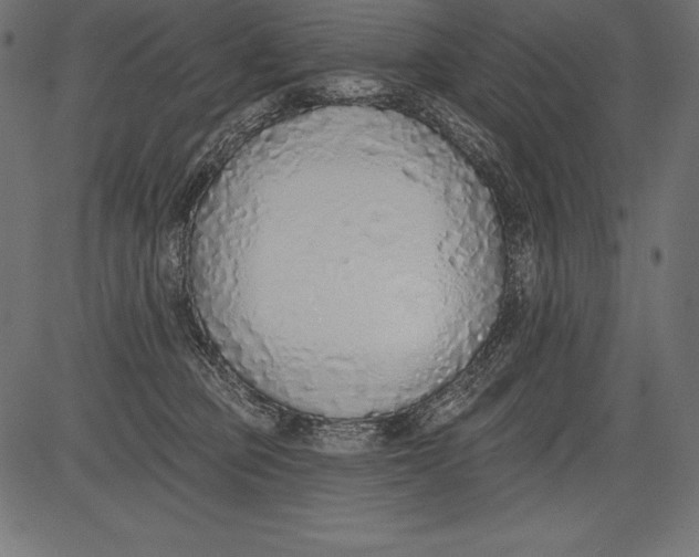 X0000081380373200702020236