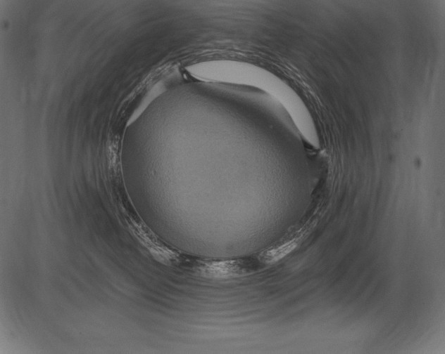 X0000081380382200702020236