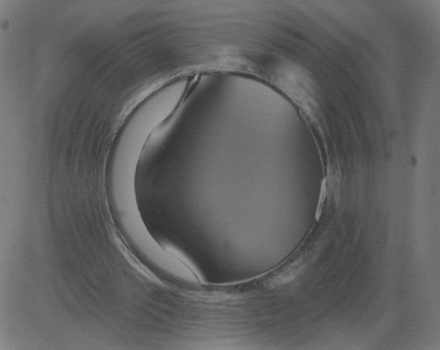 X0000081380389200702020235