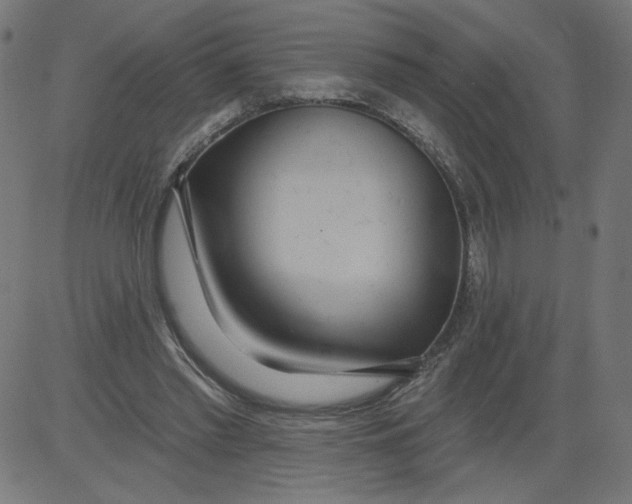 X0000081380397200702020235