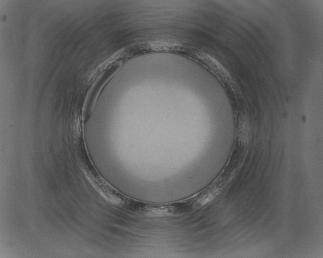 X0000081380405200702020235