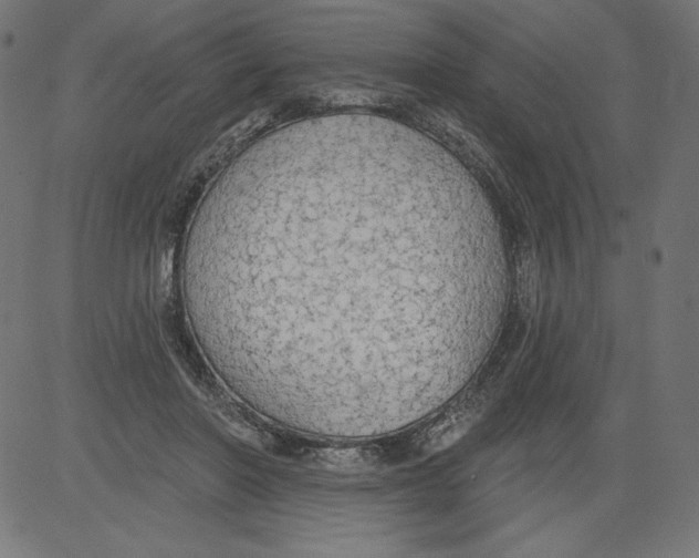X0000081380406200702020235