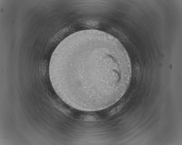 X0000081380412200702020235