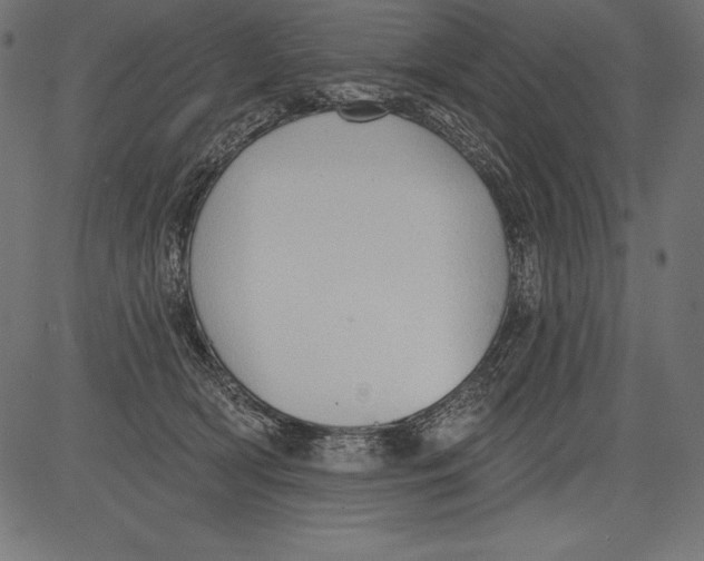 X0000081380418200702020235