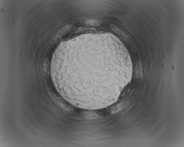 X0000081380424200702020235