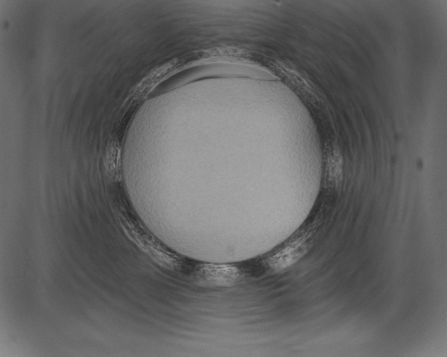 X0000081380429200702020235