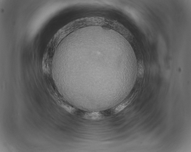 X0000081380431200702020235