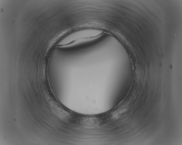 X0000081380446200702020234