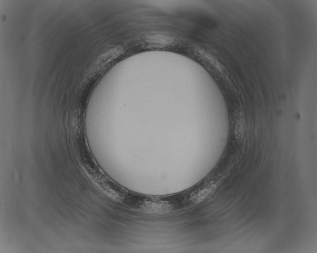 X0000081380455200702020234