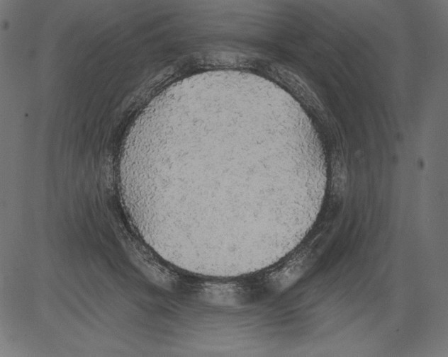 X0000081380457200702020234