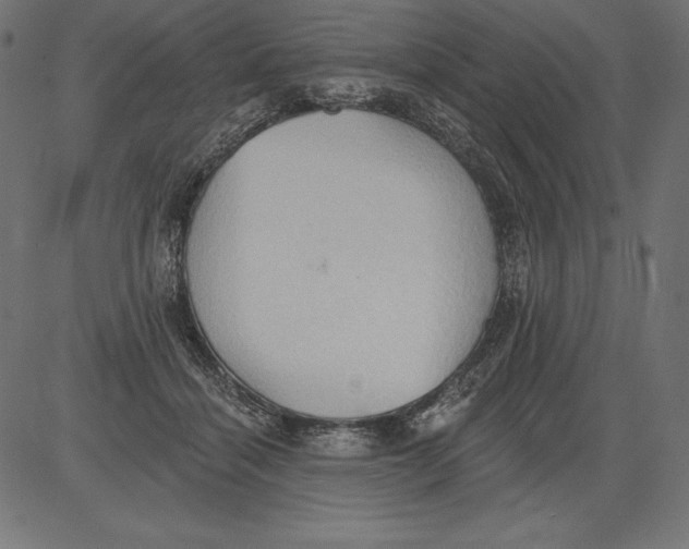 X0000081380460200702020234