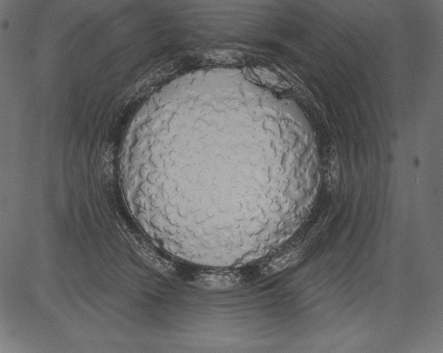 X0000081380466200702020234