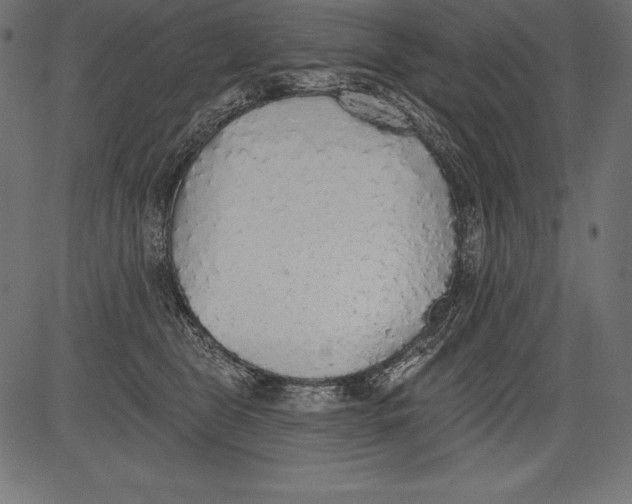X0000081380469200702020234