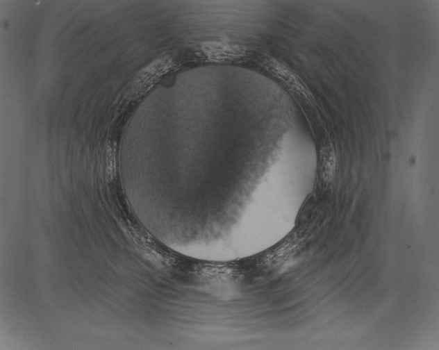 X0000081380471200702020235
