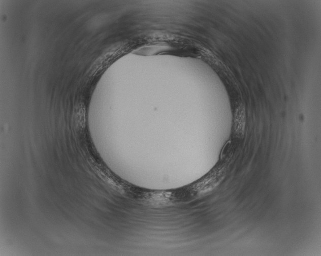 X0000081380474200702020235