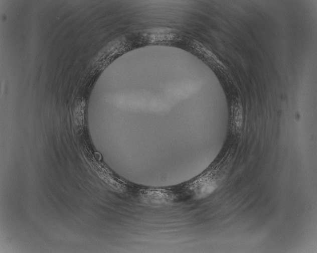 X0000081380475200702020235