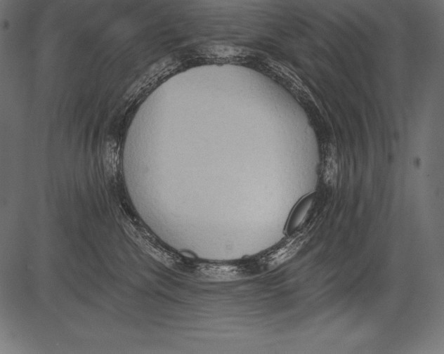X0000081380476200702020235