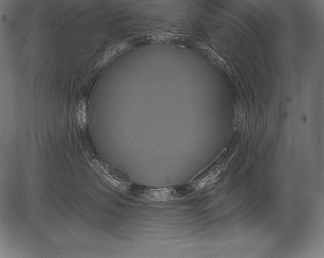 X0000081380479200702020235