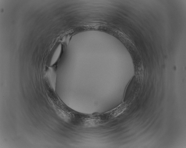 X0000081380504200702020234
