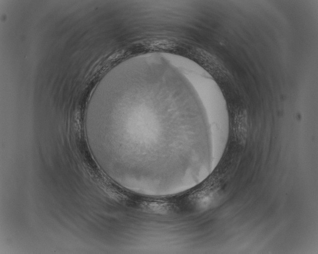 X0000081380506200702020233