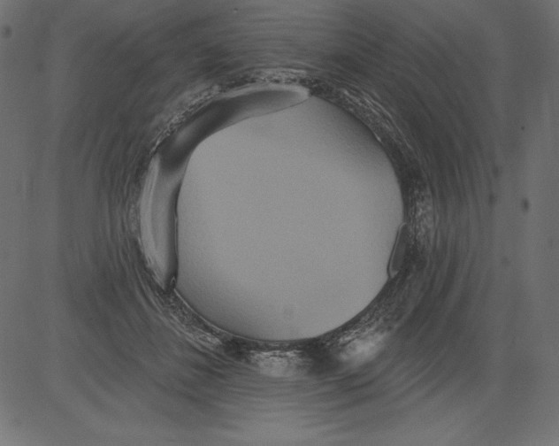 X0000081380508200702020233